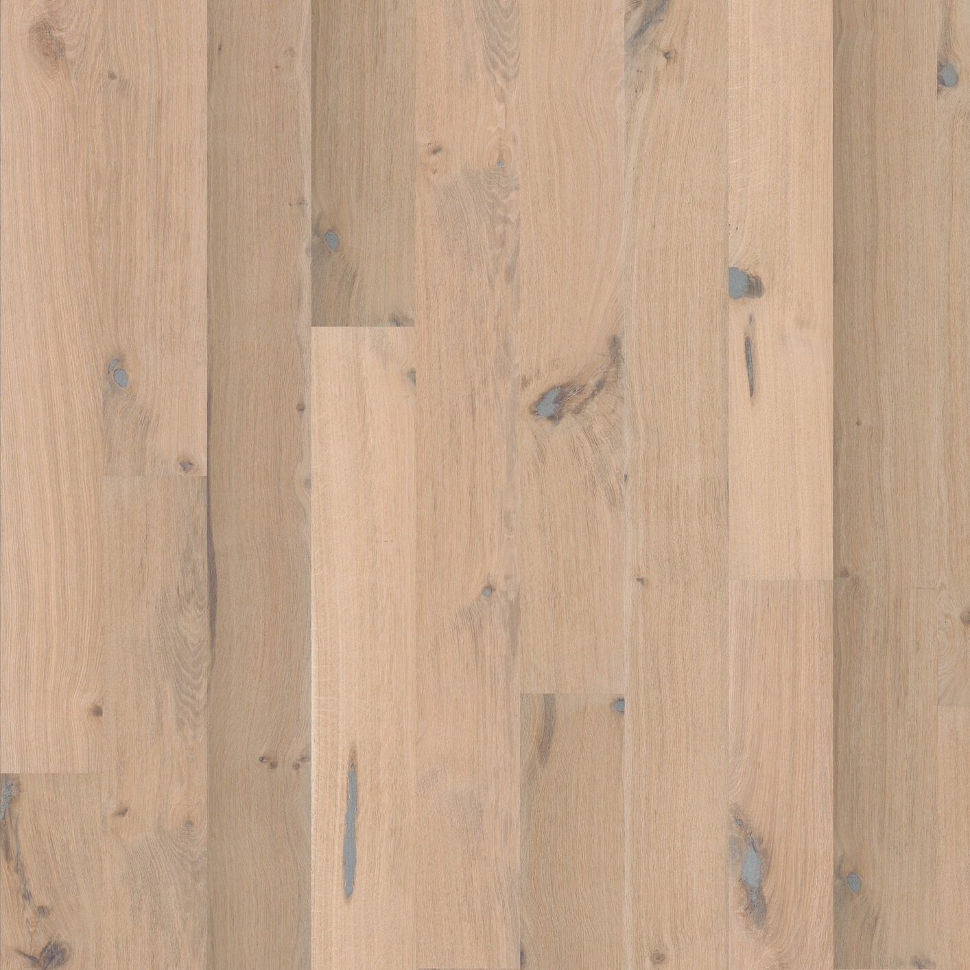 oak_colony