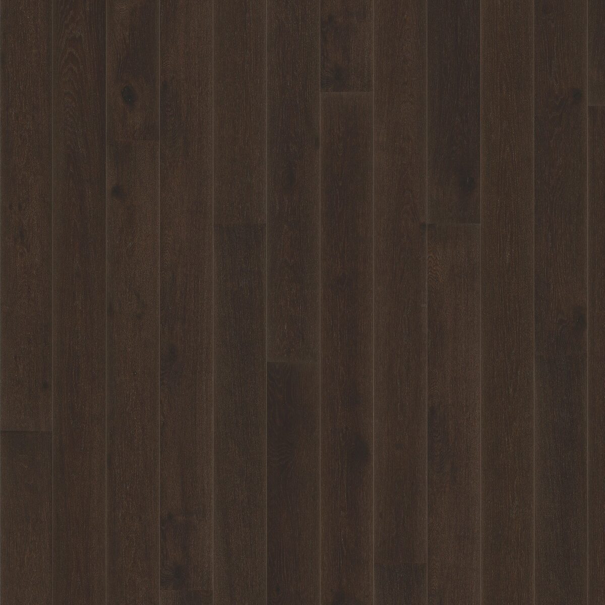 Oak Nouveau black(16)-1200x1600