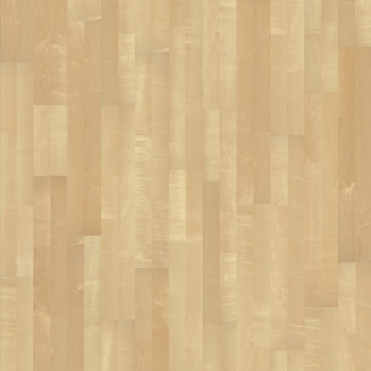 Hard Maple-1200x1600