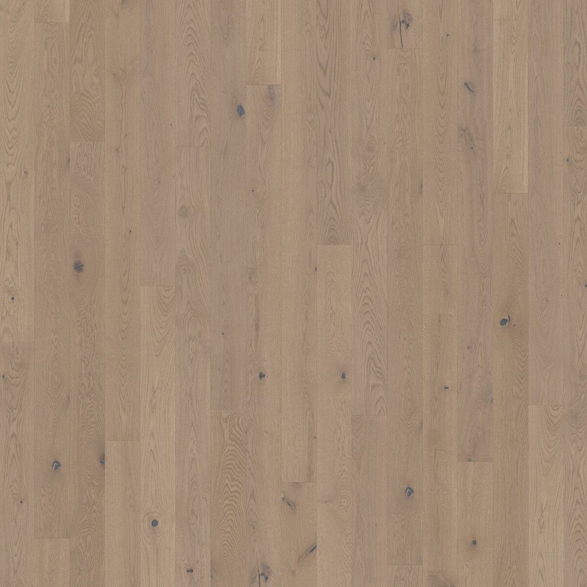 OAK-PRATICA-1200x1600