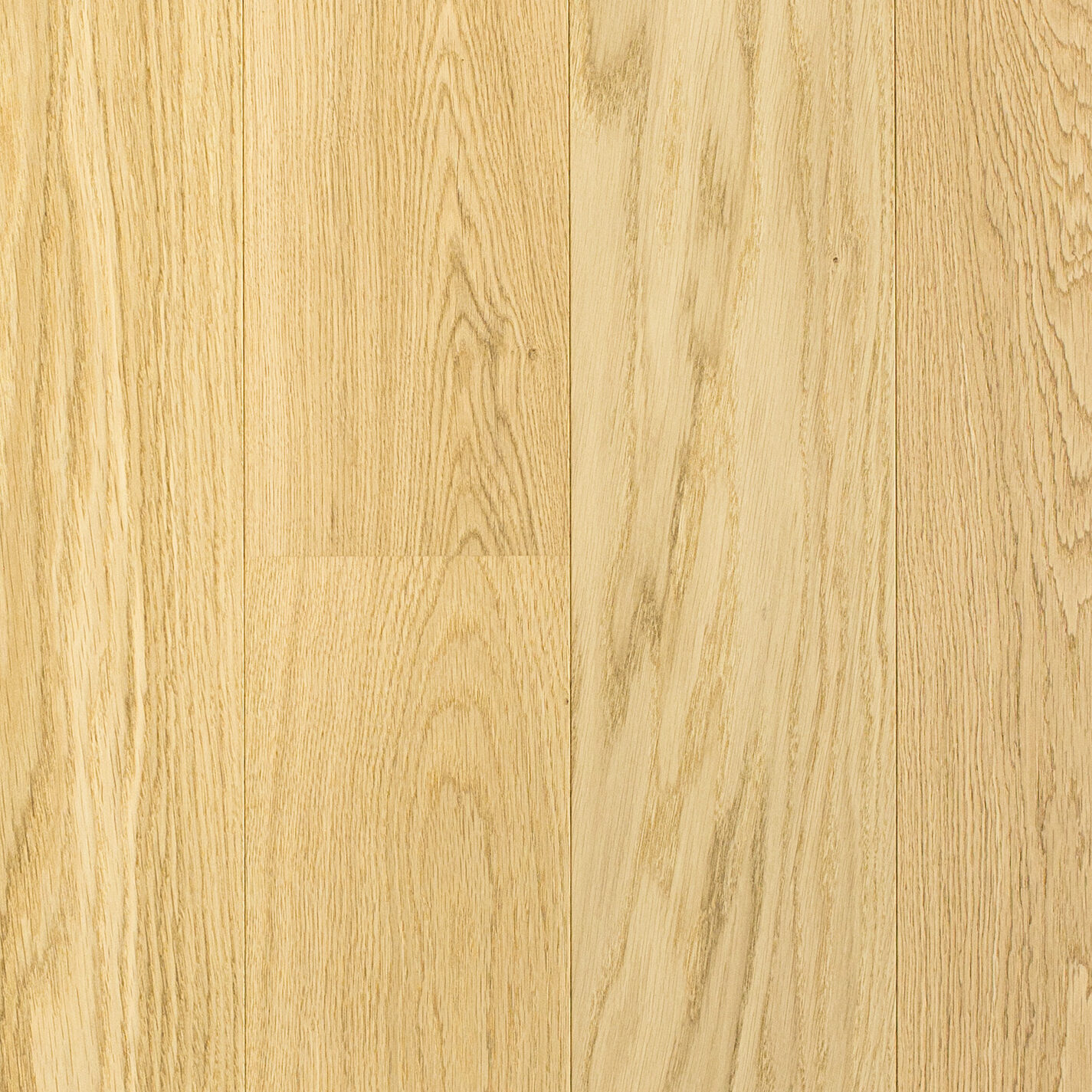 1-Strip-Oak-Elite-Brush-2B-Pure-Line--#11157-web