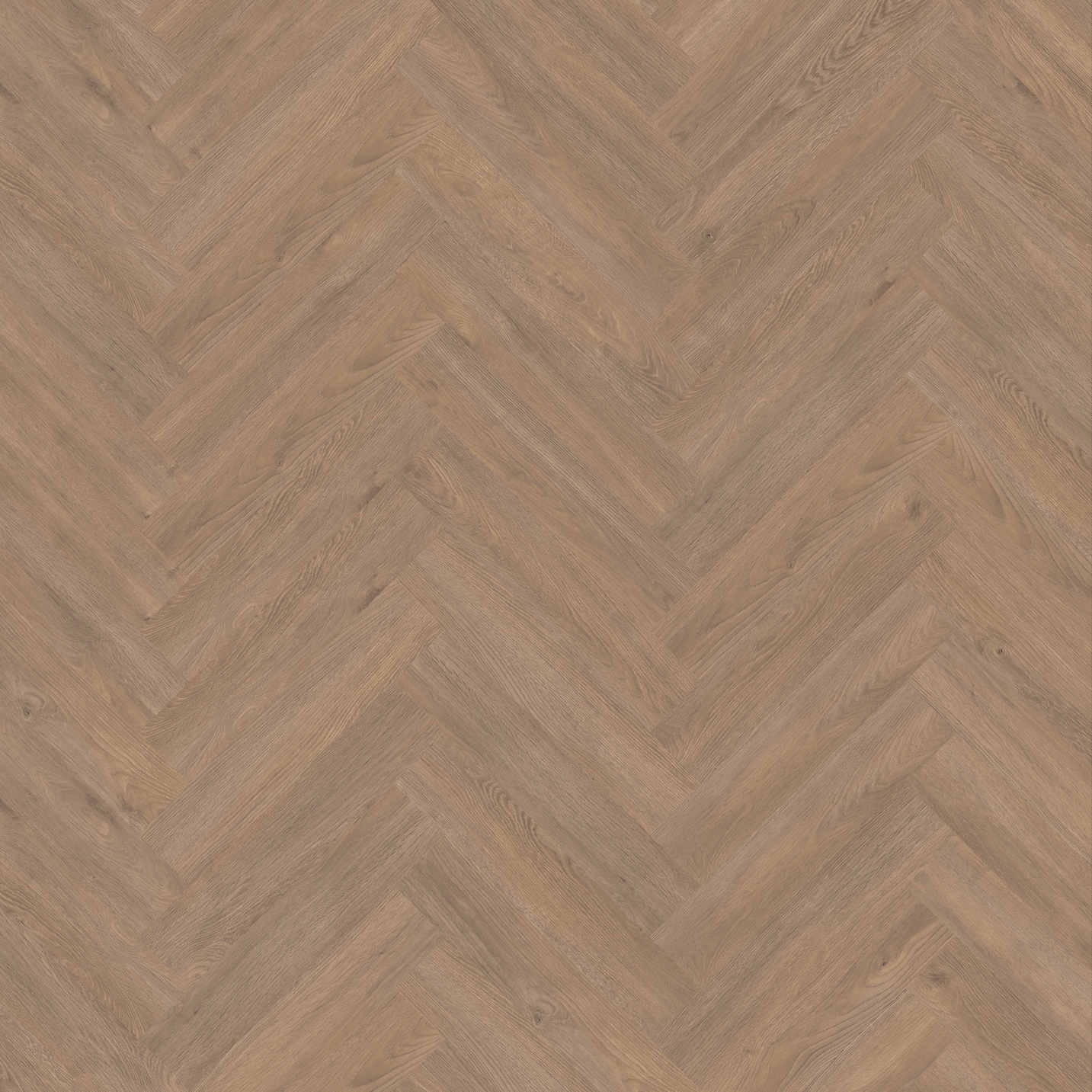 0109-e1691591022115.png
