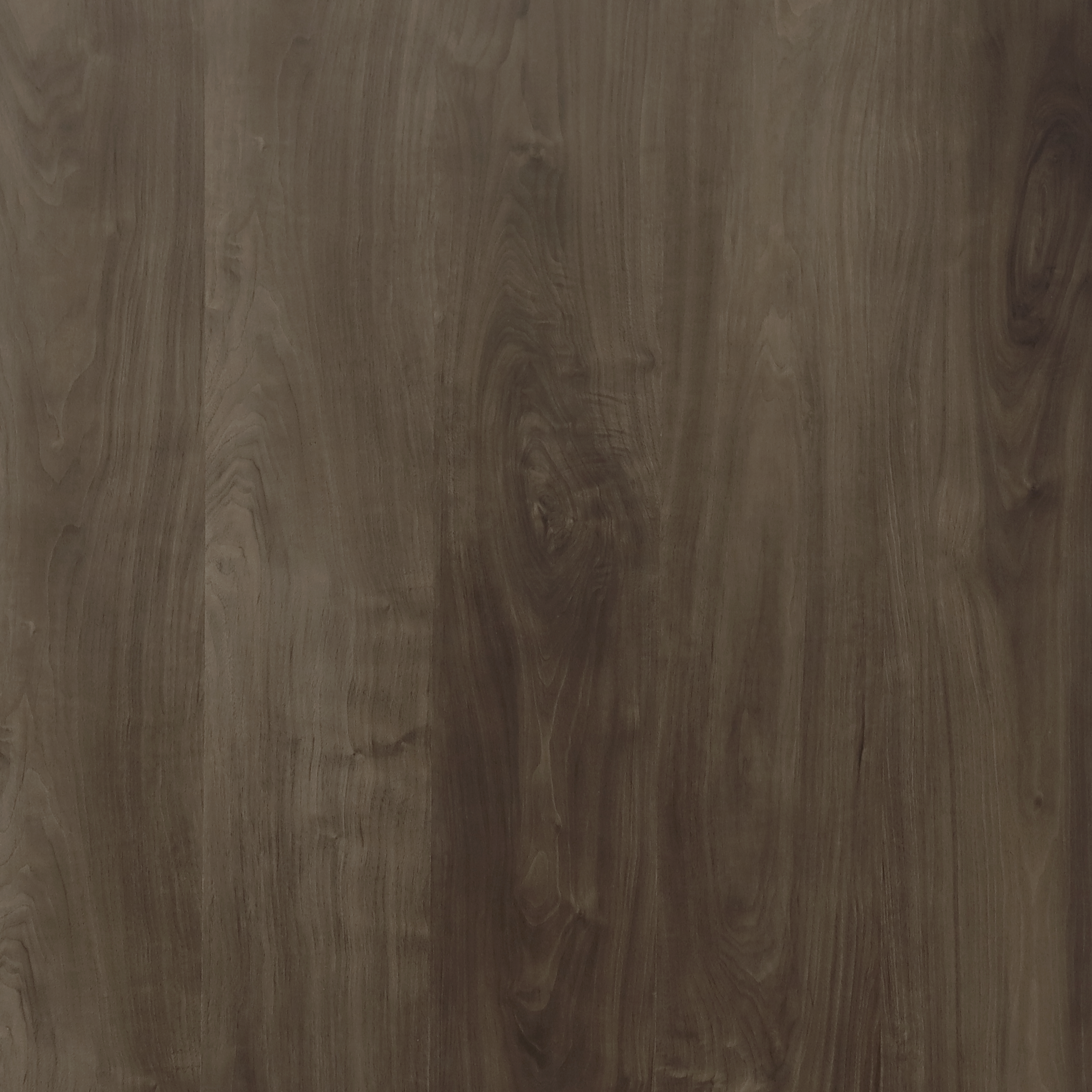 Walnut Bach