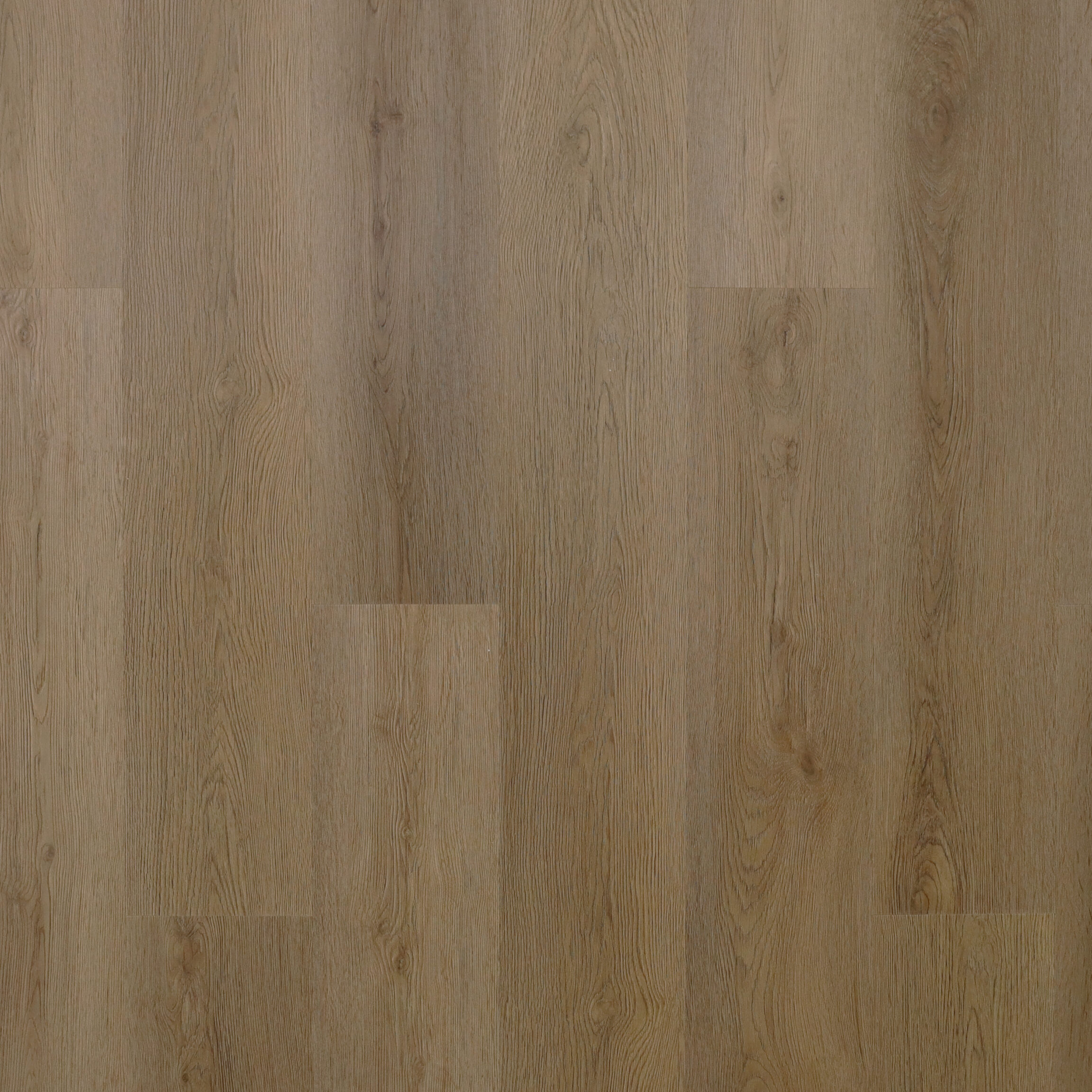 Bark