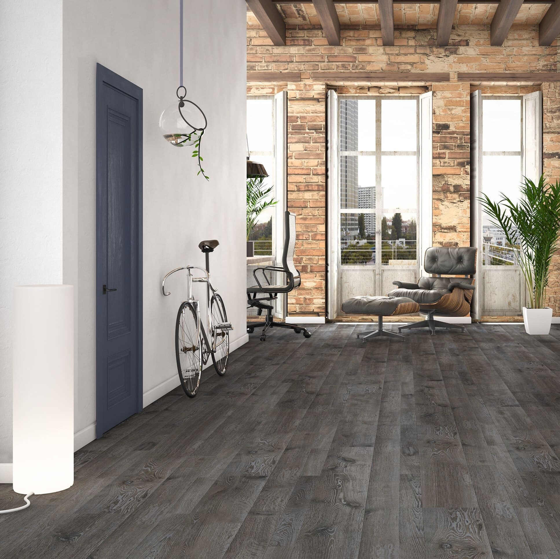 Colonial_Oak_AMB_FAU